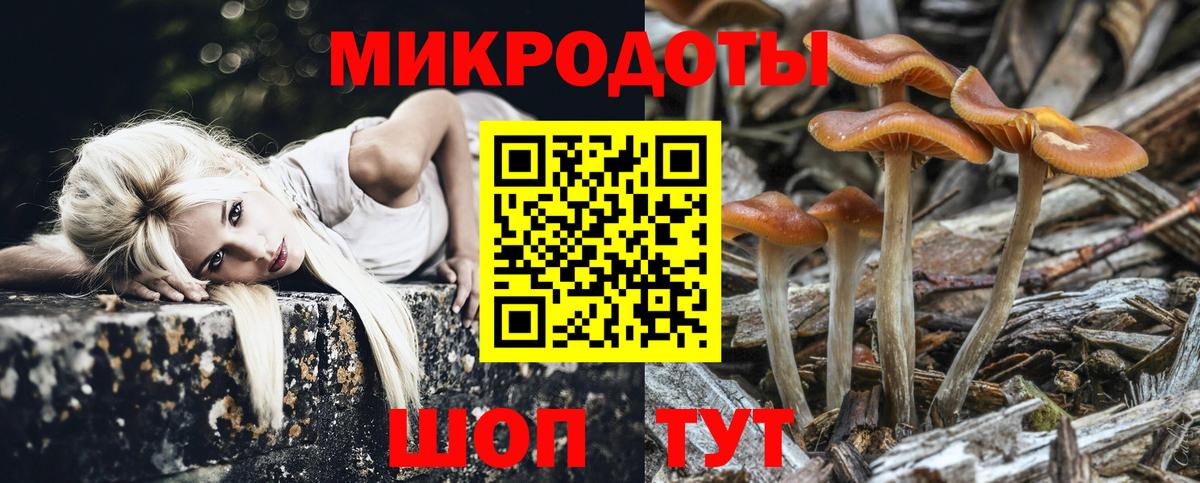 Галлюциногенные грибы MAGIC MUSHROOMS Избербаш
